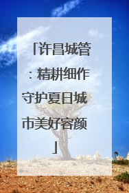 许昌城管：精耕细作守护夏日城市美好容颜