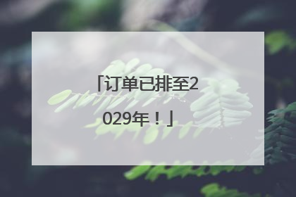 订单已排至2029年！