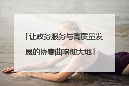 让政务服务与高质量发展的协奏曲响彻大地