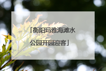 衡阳玛雅海滩水公园开园迎客
