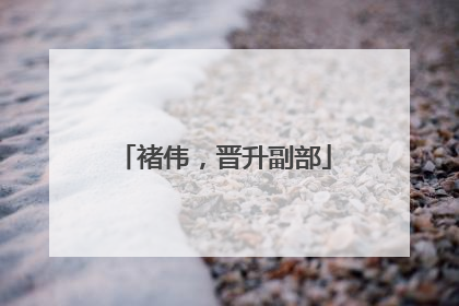 褚伟，晋升副部