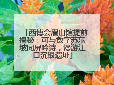 西博会眉山馆提前揭秘：可与数字苏东坡同屏吟诗，漫游江口沉银遗址