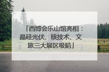 西博会乐山馆亮相：晶硅光伏、核技术、文旅三大展区吸睛
