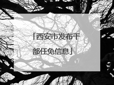 西安市发布干部任免信息