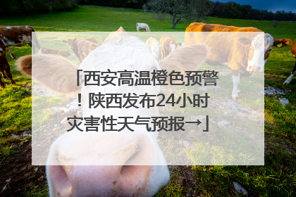 西安高温橙色预警！陕西发布24小时灾害性天气预报→