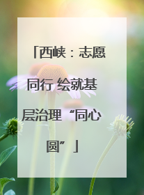 西峡：志愿同行 绘就基层治理“同心圆”