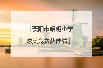 襄阳市昭明小学球类竞赛获佳绩