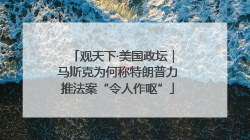 观天下·美国政坛｜马斯克为何称特朗普力推法案“令人作呕”
