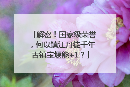 解密！国家级荣誉，何以镇江丹徒千年古镇宝堰能+1？