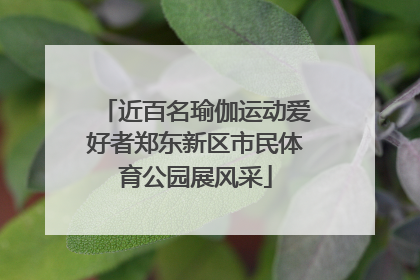 近百名瑜伽运动爱好者郑东新区市民体育公园展风采