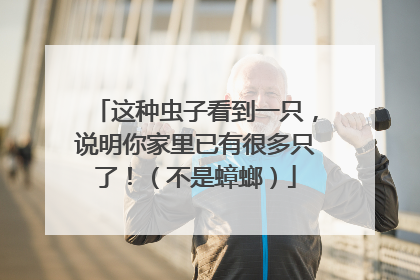 这种虫子看到一只，说明你家里已有很多只了！（不是蟑螂）