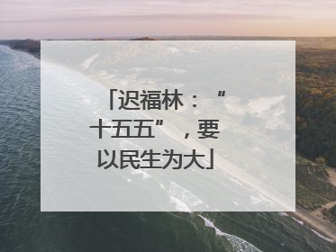 迟福林：“十五五”，要以民生为大