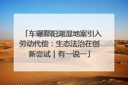 车碾鄱阳湖湿地案引入劳动代偿：生态法治在创新尝试｜有一说一