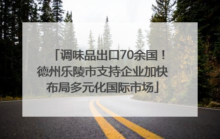 调味品出口70余国！德州乐陵市支持企业加快布局多元化国际市场
