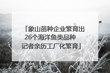 象山苗种企业繁育出26个海洋鱼类品种 记者亲历工厂化繁育