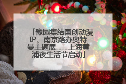 豫园集结国创动漫IP、南京路办奥特曼主题展……上海黄浦夜生活节启动