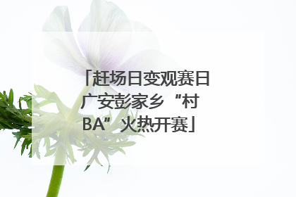 赶场日变观赛日 广安彭家乡“村BA”火热开赛