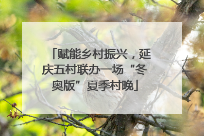 赋能乡村振兴，延庆五村联办一场“冬奥版”夏季村晚