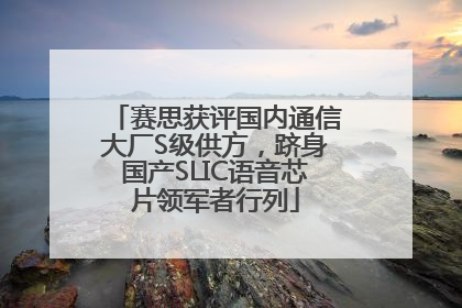 赛思获评国内通信大厂S级供方，跻身国产SLIC语音芯片领军者行列