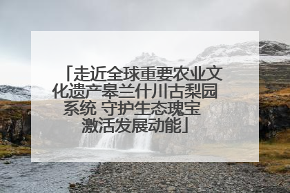 走近全球重要农业文化遗产皋兰什川古梨园系统 守护生态瑰宝 激活发展动能