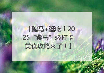 跑马+逛吃！2025“紫马”必打卡美食攻略来了！