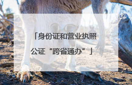 身份证和营业执照公证“跨省通办”