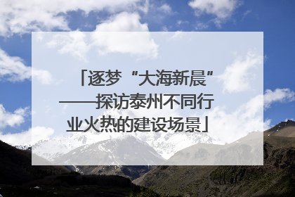 逐梦“大海新晨”——探访泰州不同行业火热的建设场景