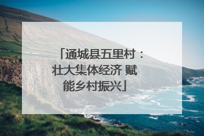 通城县五里村：壮大集体经济 赋能乡村振兴