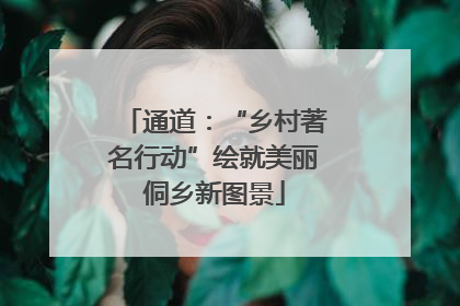通道：“乡村著名行动”绘就美丽侗乡新图景