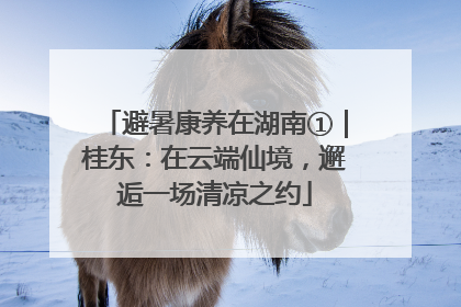 避暑康养在湖南①｜桂东：在云端仙境，邂逅一场清凉之约