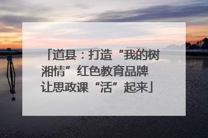 道县：打造“我的树湘情”红色教育品牌 让思政课“活”起来