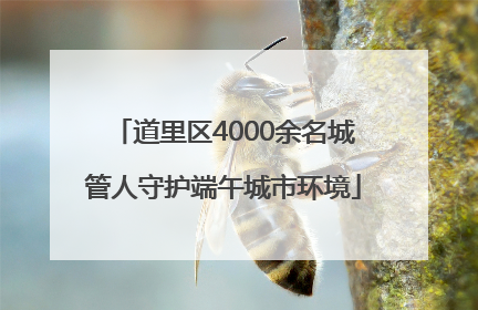 道里区4000余名城管人守护端午城市环境