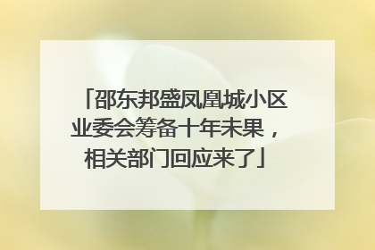 邵东邦盛凤凰城小区业委会筹备十年未果，相关部门回应来了