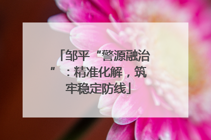 邹平“警源融治”：精准化解，筑牢稳定防线