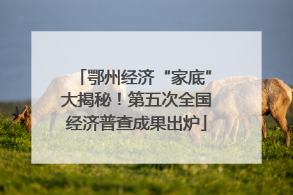 鄂州经济“家底”大揭秘！第五次全国经济普查成果出炉