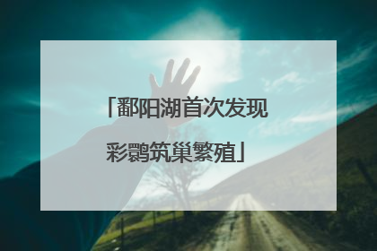 鄱阳湖首次发现彩鹮筑巢繁殖