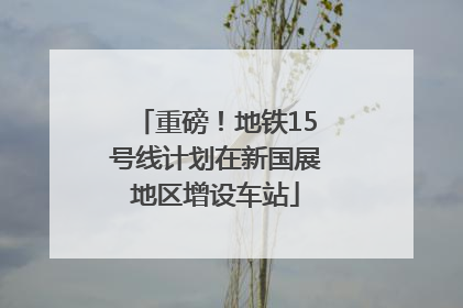重磅！地铁15号线计划在新国展地区增设车站