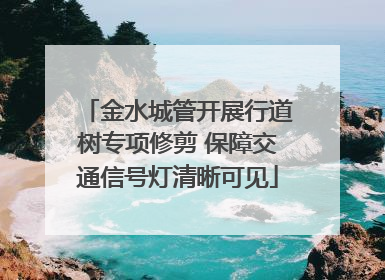 金水城管开展行道树专项修剪 保障交通信号灯清晰可见