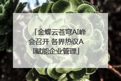金蝶云苍穹AI峰会召开 各界热议AI赋能企业管理