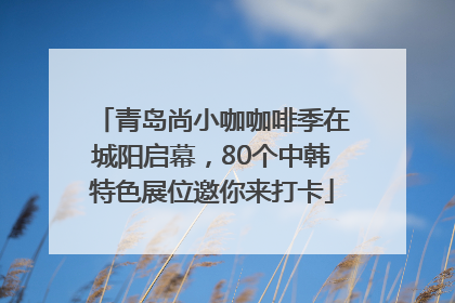 青岛尚小咖咖啡季在城阳启幕，80个中韩特色展位邀你来打卡
