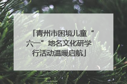 青州市困境儿童“六一”地名文化研学行活动温暖启航