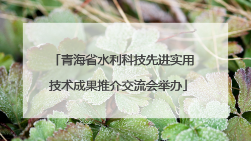 青海省水利科技先进实用技术成果推介交流会举办