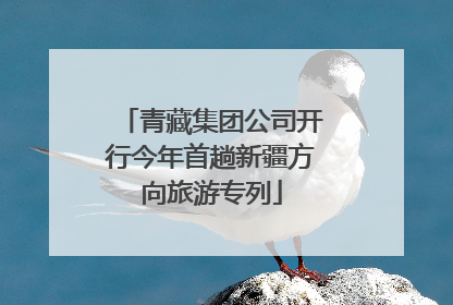 青藏集团公司开行今年首趟新疆方向旅游专列