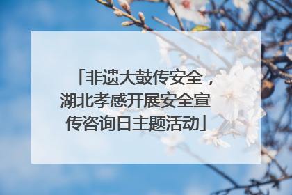 非遗大鼓传安全，湖北孝感开展安全宣传咨询日主题活动