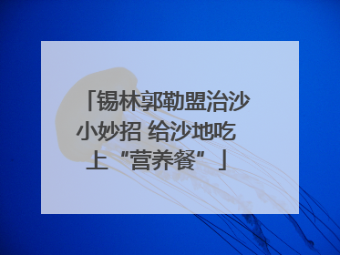 锡林郭勒盟治沙小妙招 给沙地吃上“营养餐”