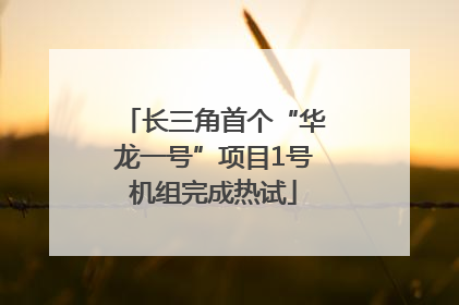 长三角首个“华龙一号”项目1号机组完成热试