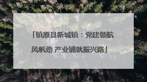 镇原县新城镇：党建领航风帆劲 产业铺就振兴路