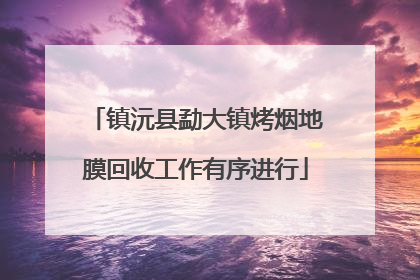 镇沅县勐大镇烤烟地膜回收工作有序进行