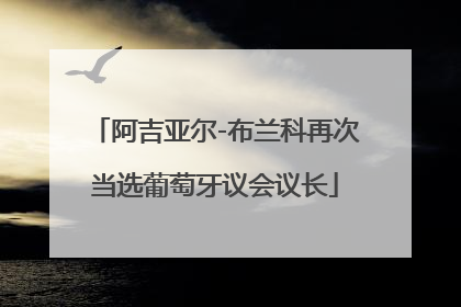 阿吉亚尔-布兰科再次当选葡萄牙议会议长