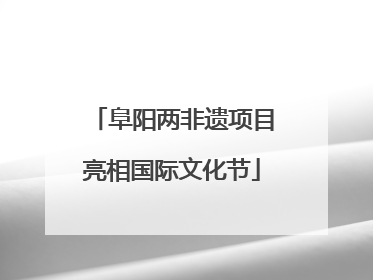 阜阳两非遗项目亮相国际文化节
